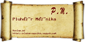 Pluhár Mónika névjegykártya