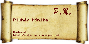 Pluhár Mónika névjegykártya